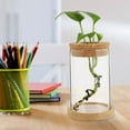 thumbnail image 2 of 2 Pcs Vase pour Plantes Hydroponiques Durable Terrarium pour Plantes Chic Décoration Maison, 2 of 5
