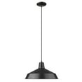 thumbnail image 3 of Acclaim Lighting Alcove IN31144 Pendant Light, 3 of 3