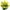 Yellow, variant on Admired By Nature 14 Stems of Blossoms Rose Flower Bush, Red/White/Blue
