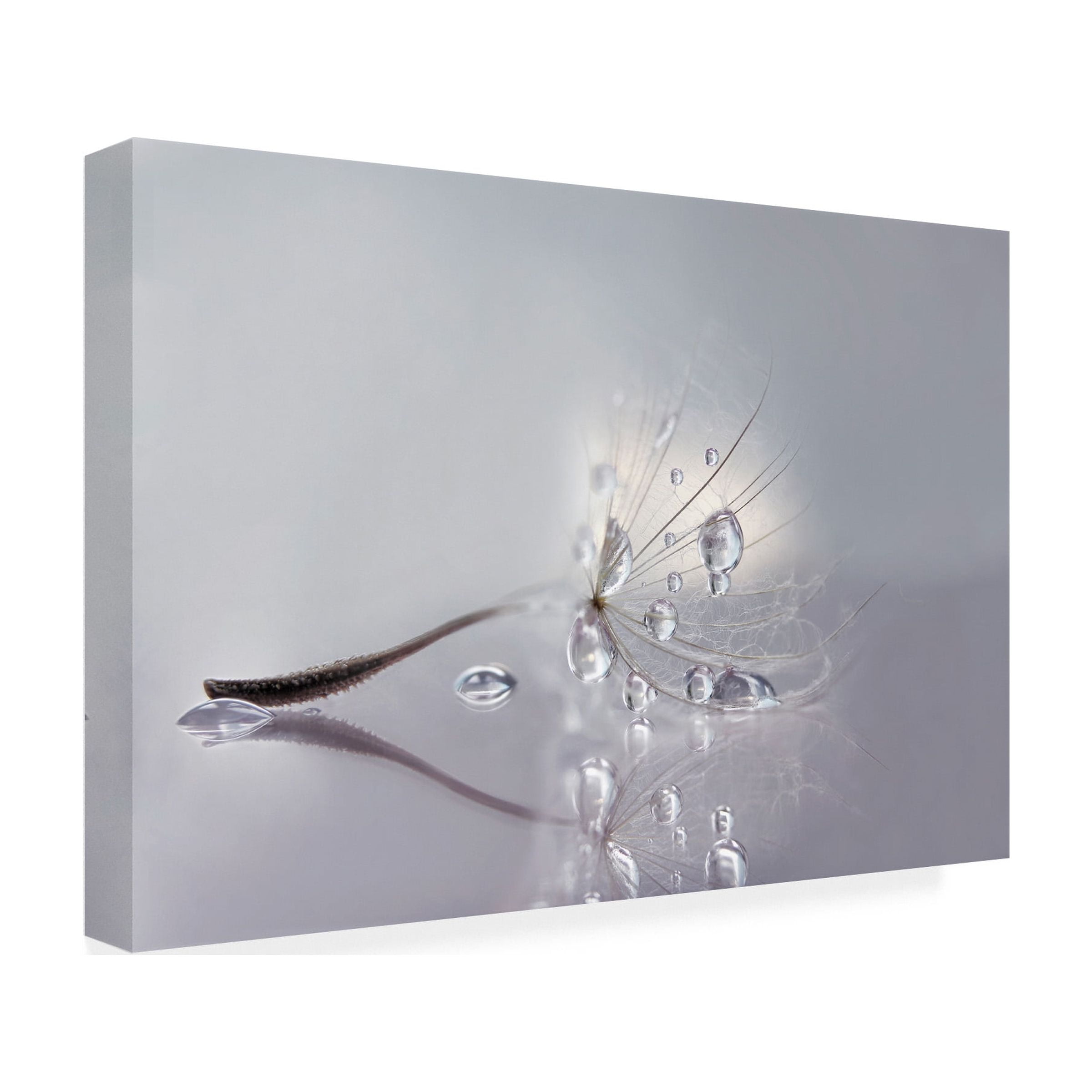Rina Barbieri 'Silver' Canvas Art