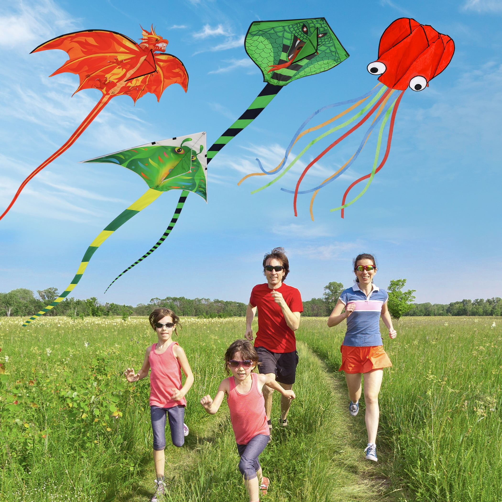 4 Pack Kites - Large Fire Dragon Kite Green Snake Kite Devil Fish Kite Red Mollusc Octopus with Long Colorful Tail for Kids Adults Outdoor Game Activities