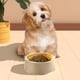 thumbnail image 5 of Cuenco para perros de alimentación lenta | Plato antideslizante para mascotas para razas pequeñas, medianas y grandes a prueba de derrames | Plato de plástico anti-trago azul, rosa, verde, blanco, 5 of 6