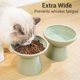 thumbnail image 2 of Cuenco elevado para comida para gatos CEEFU 2, de cerámica, ancho y poco profundo, verde salvia, 2 of 6