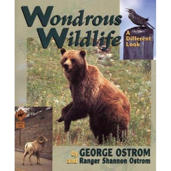 Pre-Owned Wondrous Wildlife: A Different Look (Paperback) 1560371323 9781560371328