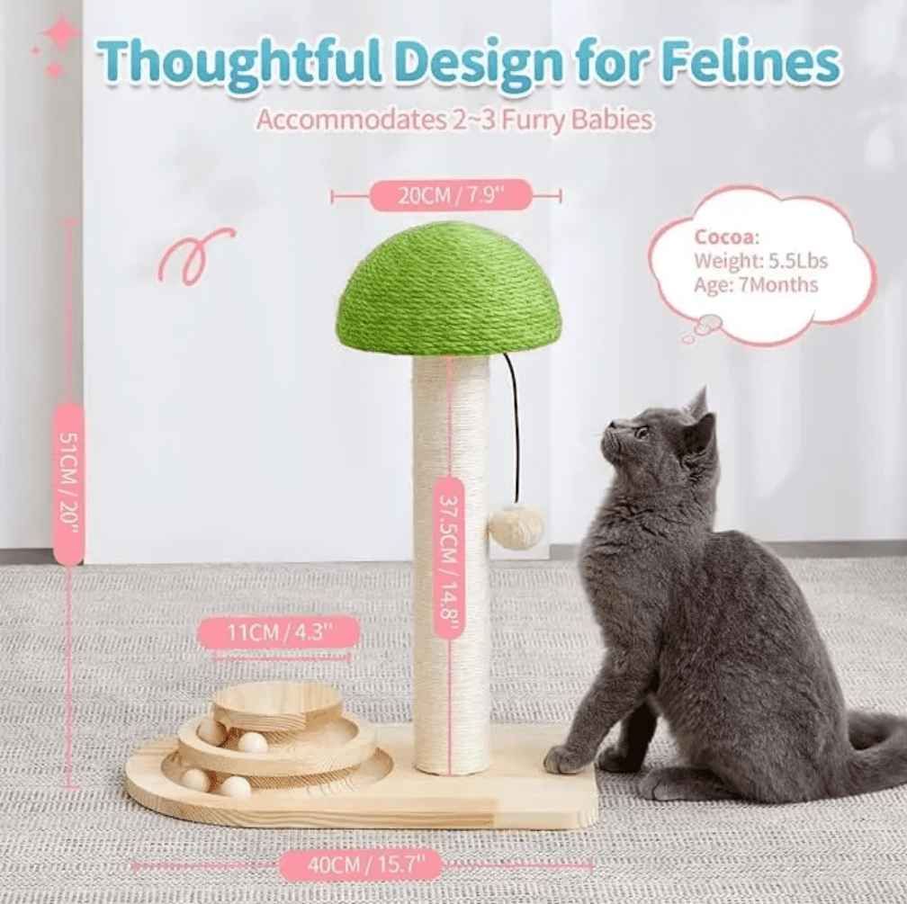 Cat Scratching Post, Mushroom Cat Scratcher with Sisal Ropes, Interactive Track Ball Toy, 2-in-1 Wood Scratch cattree