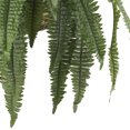 thumbnail image 3 of HomeStock Large Renaissance Refinement Fern Hanging Basket, 3 of 5