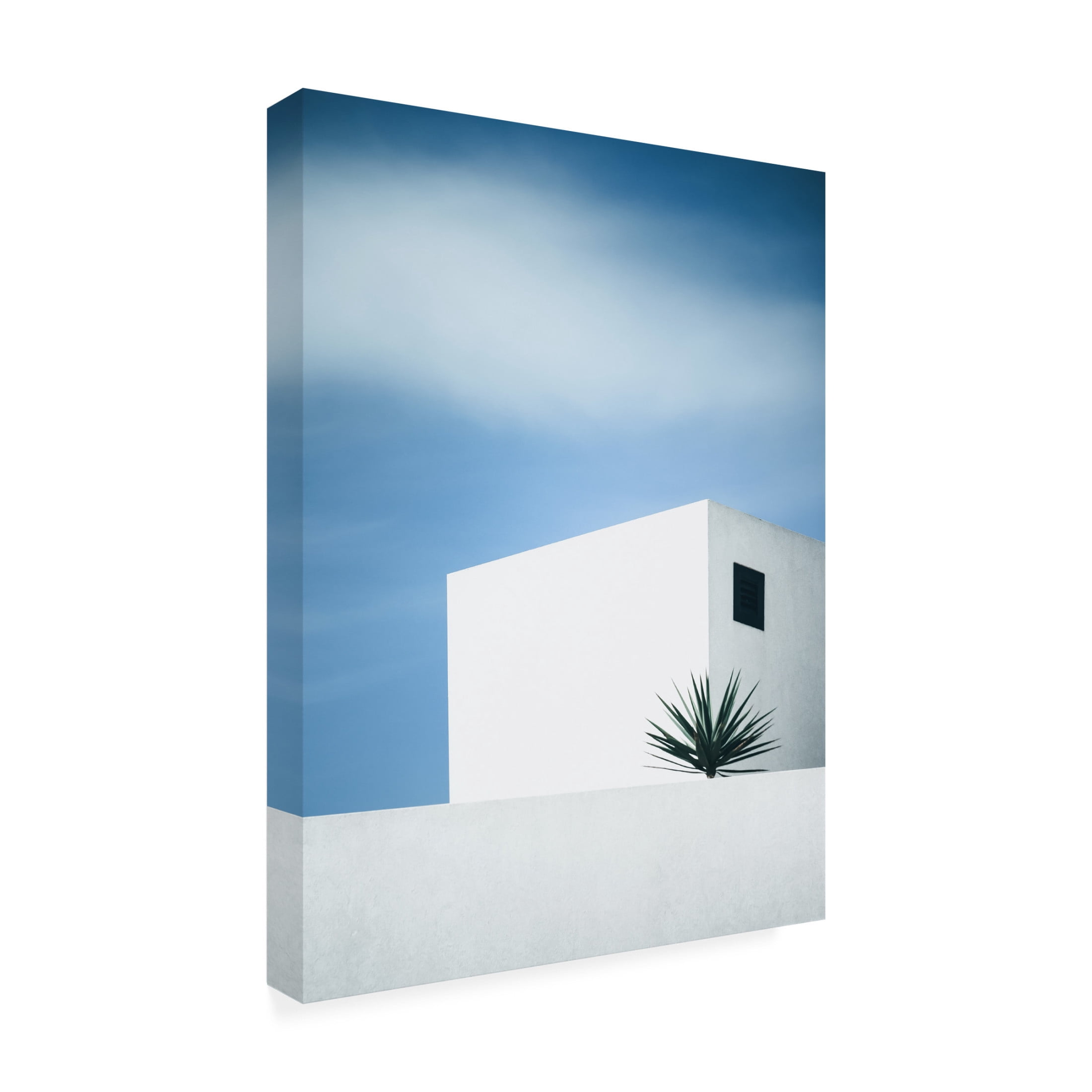 Canvas Wall Art - Renate Wasinger 'Palm Tree' Wall Art for Living Room, Bedroom, or Office D?cor by Trademark Fine Art - 35 x 47 Inches
