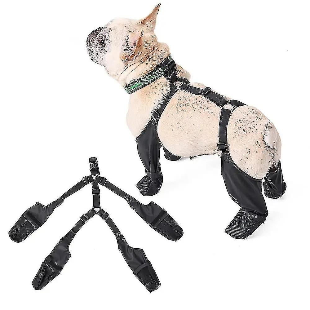 Dog booties for walking hot sale