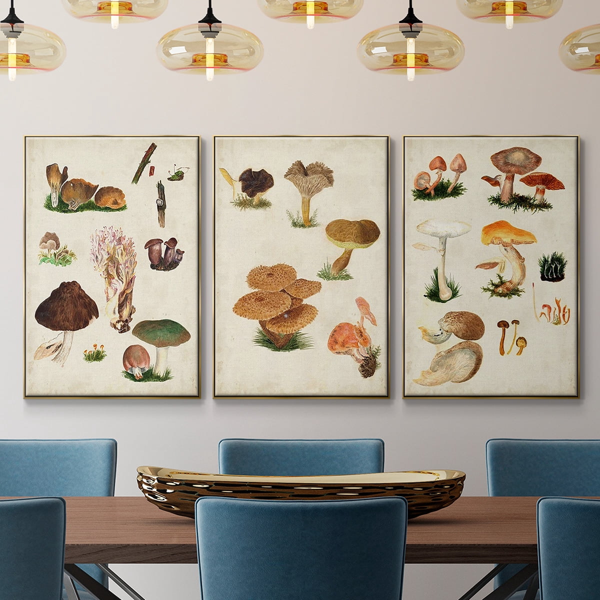 Mushroom Species IV - Framed Premium Gallery Wrapped Canvas L Frame 3 Piece Set - Ready to Hang