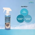 thumbnail image 2 of Champú Seco para Perros Bio-Groom Sin Enjuague 473 ml, 2 of 5