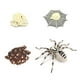 thumbnail image 1 of Vogacara 1 Juego de modelo de gusano de pala, Material plástico Premium, figuritas de insectos significativas, modelos de crecimiento educativo temprano Juguetes Educativos tarántula NO26 Vogacara  FN010083-26, 1 of 6