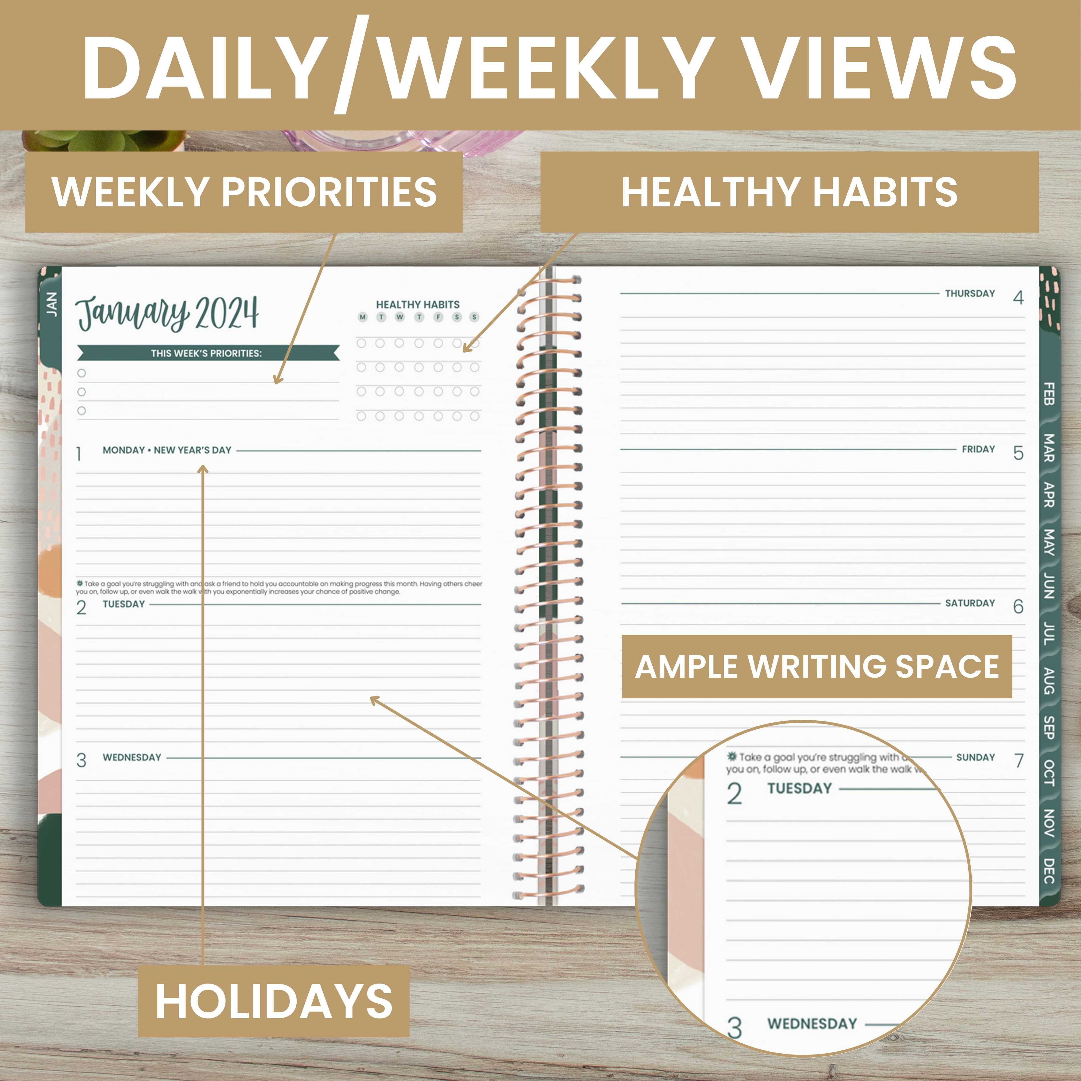 bloom daily planners 2024 (8.5 x 11) Calendar Year Day Planner (January  2024 - December 2024) - Weekly/Monthly Dated Agenda Organizer with Tabs -  Daydream Believer, Lavender 