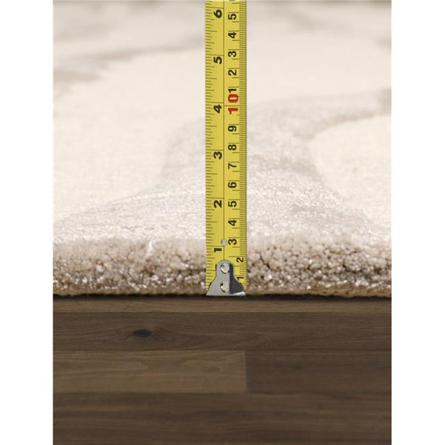 Pasargad Home PVCSK-03 5x8 5 x 8 ft. Edgy Collection Hand-Tufted Silk & Wool Rectangle Area Rug, Ivory