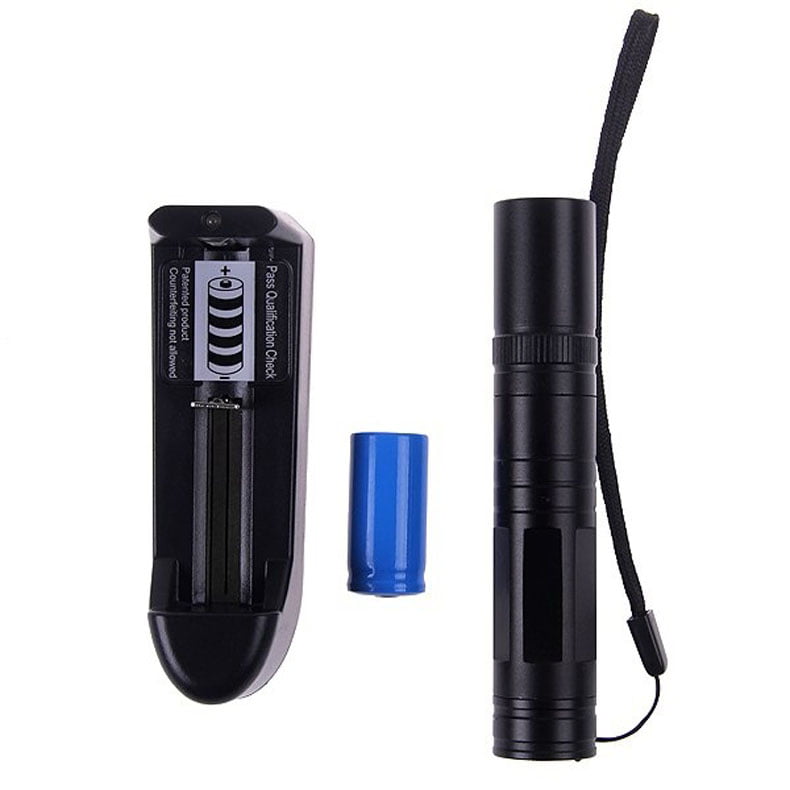 16340 Battery+Charger Details about   2x 532nm 1mW Green Laser Pointer Pen Visible Beam Light 