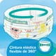 thumbnail image 5 of Pañales de Natación Pampers Splashers Talla Grande, Paquete con 10, 5 of 7