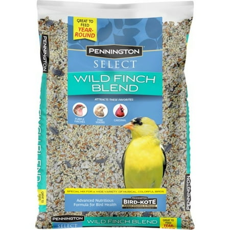 Pennington Recipe Selects Wild Finch Blend, Dry Wild Bird Seed and Feed, 10 lb., 1 Pack