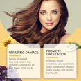 thumbnail image 5 of Promotion Aceites esenciales Elementos esenciales para el hogar Aceite para el cabello - Perfecto para reparar el encrespamiento y las puntas abiertas - Aceite para el cabello orgá(Buy 2 Save 10%), 5 of 5