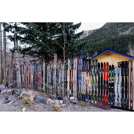 Paired Patio Homes Colorado Springs LAMINATED POSTER Fence Unique Colorado Skis Idaho Springs Different Poster Print 24 x 36 ()