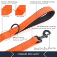 thumbnail image 4 of Correa para perros Plutus Pet con doble asa, 1,8 m, color naranja reflectante, 4 of 7