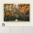 thumbnail image 3 of HFDF Canvas Prt Wall Art Autumn Fall Orange Hangg Tree Canopy Nature Wilderness Photography Realism Earth Scenery Rustic Scenic Landscape Colorful for Livg Room, Bedroom, Office - 16x12inch Framed, 3 of 5