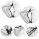 thumbnail image 2 of 100Pcs Black Invisible Elastic Lines Hair Net Stretchable Nylon Hair Net, 2 of 4