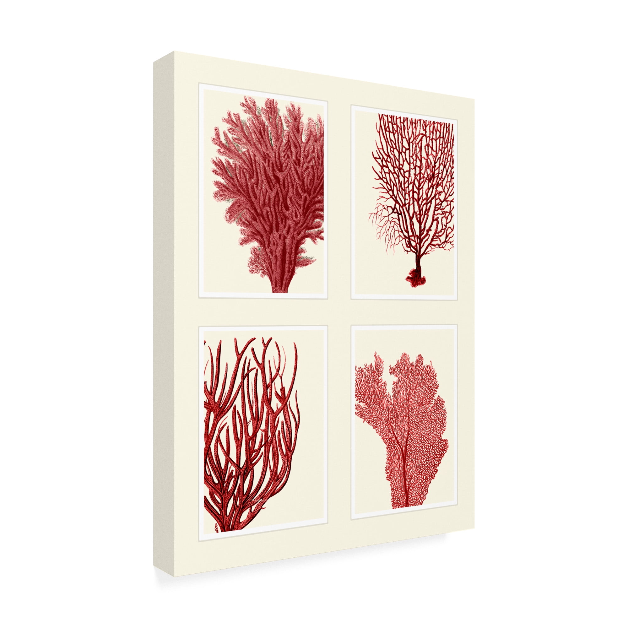 Trademark Art Floral Flowers Painting, by Fab Funky