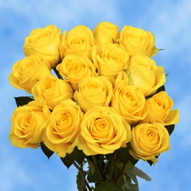 GlobalRose 50 Fresh Cut Solid Yellow Roses - Fresh Flowers For Birthdays, Weddings or Anniversary.