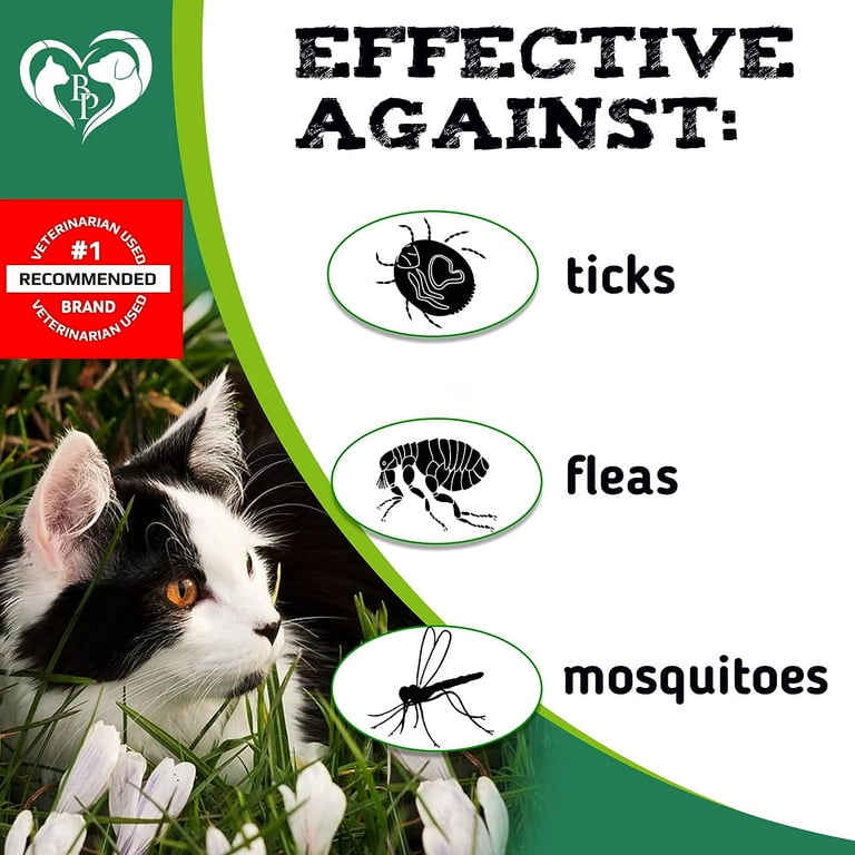 Cat flea top pills walmart