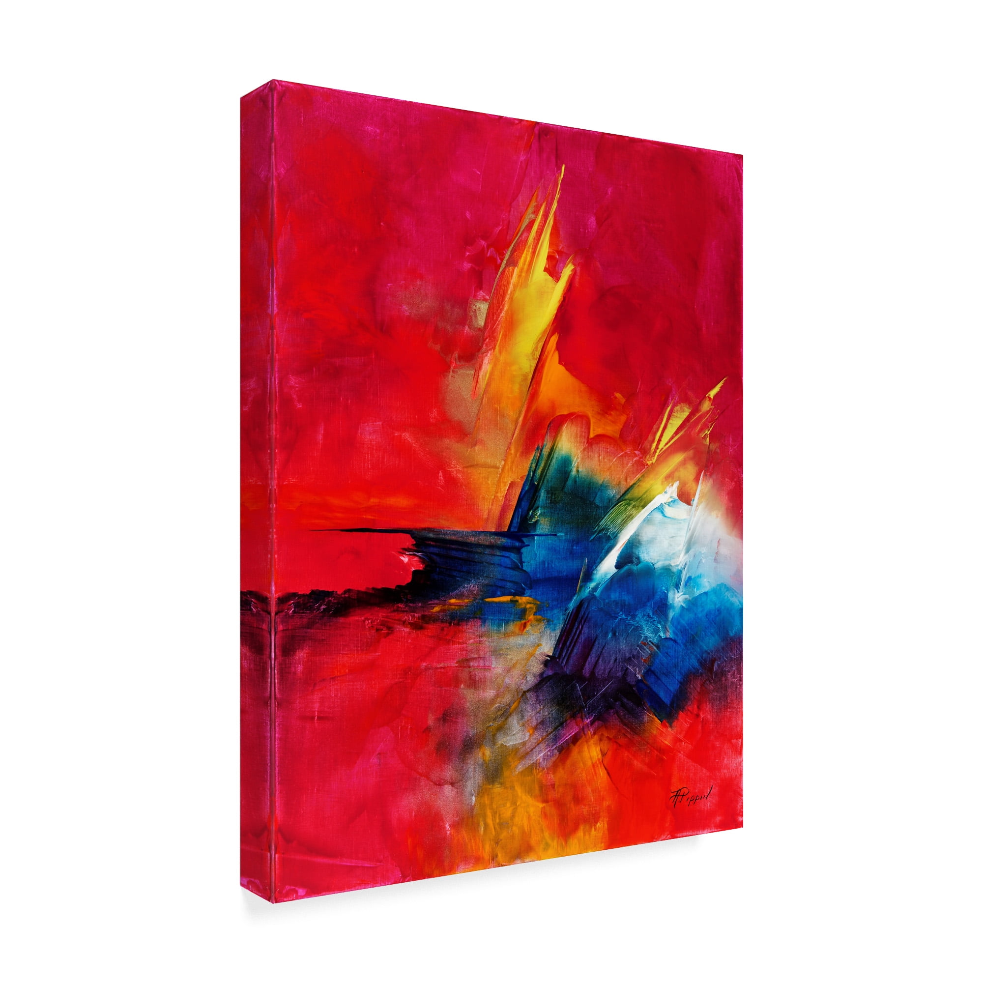 Trademark Fine Art 'Desert Dance' Canvas Art by Aleta Pippin