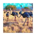 thumbnail image 1 of Ostriches in Flamboyance - Canvas, 1 of 10