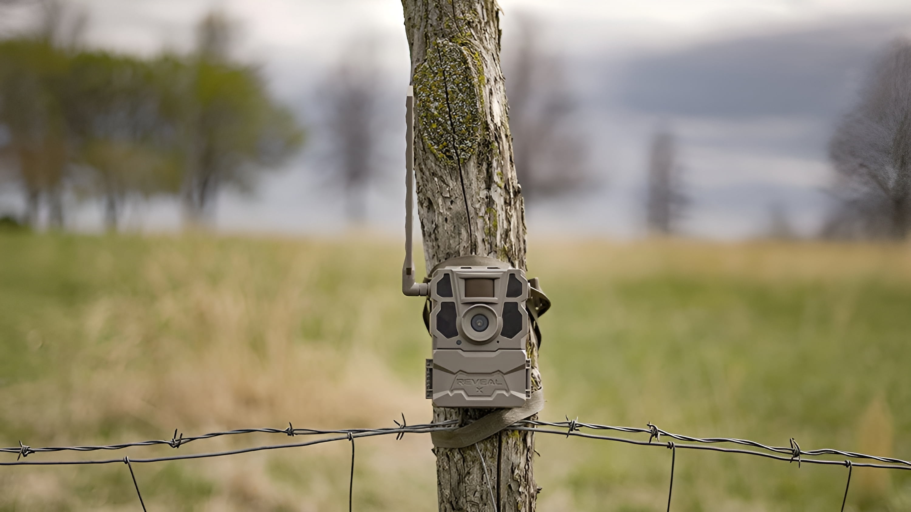 TACTACAM Reveal X Gen 2.0 LTE Cellular Trail Camera + 32GB SD Card