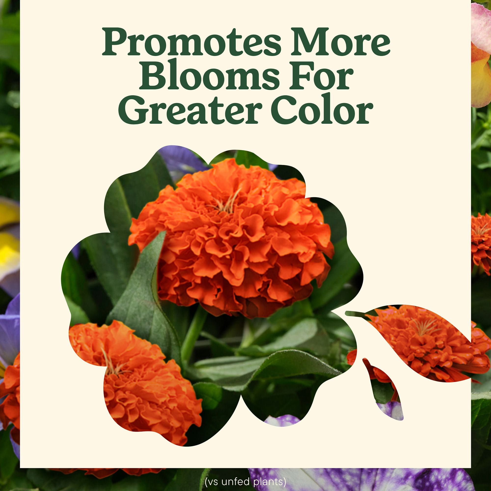 Miracle-Gro Liquafeed Bloom Booster Flower Food 2-Pack Refills