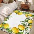 thumbnail image 4 of Summer Lemons Area Rugs 3'x5', Washable Small Throw Rugs for Living Room Bedroom, Fruits White Flowers Farmhouse Country Indoor Outdoor Rug Non-Slip Low Pile Carpet Runner Reversible Floor Mats, 4 of 8