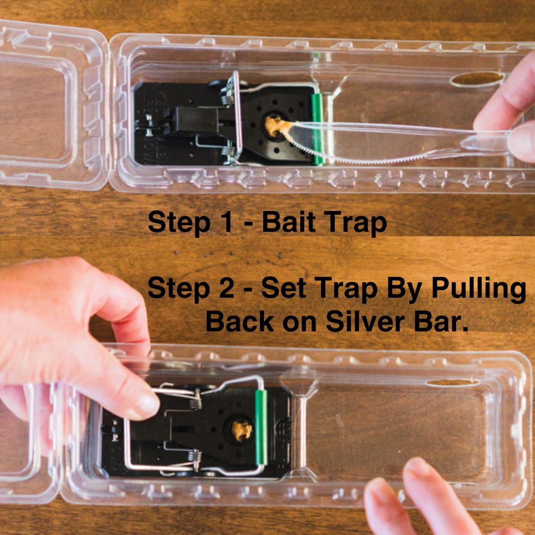 DoomBox Enclosed Mouse Trap | Safe for Kids & Pets | Made in USA (3)