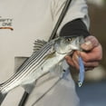 thumbnail image 6 of (2 pack) SteelShad Original Series 3/8 oz. Silver, 6 of 7