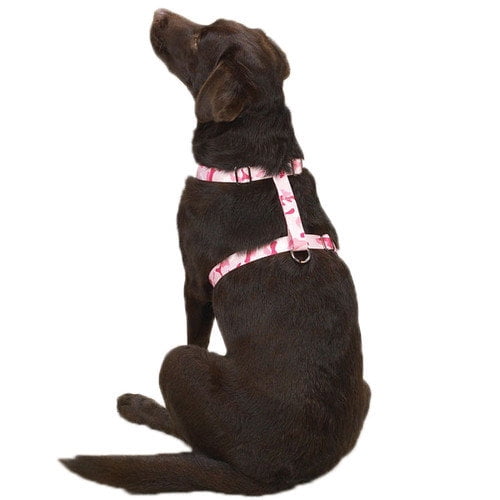 camo dog harness and leash