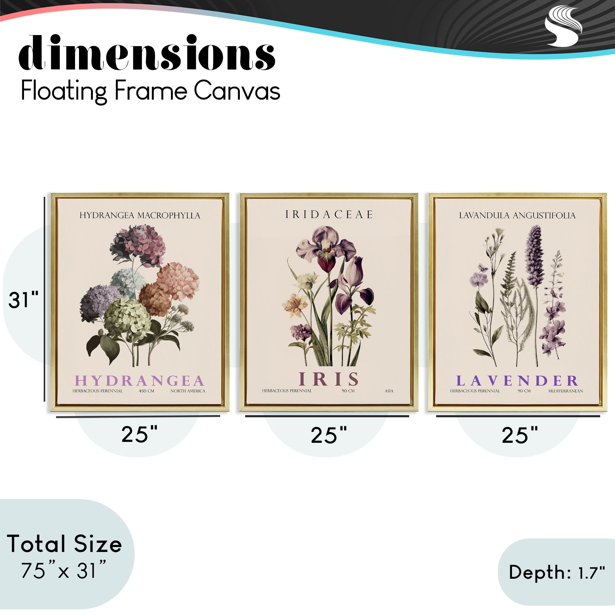 Stupell Industries Botanical Bundles & Sprigs 3 Piece Gold Framed Floater Canvas Set, design by Christopher Giampietro