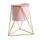 thumbnail image 5 of Soporte de Metal para macetas, soporte para plantas en macetas, cesta de flores redonda geométrica, estante para macetas para múltiples plantas, sala Pequeño, 5 of 8