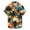 Multicolor1, variant on AHTJRT Men's Casual Button-Down Shirt Sunset Landscape Sociable Evenings Multicolor L