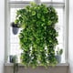 thumbnail image 5 of Simulación de Helecho Verde Enredadera Persa Enredadera Colgante Colgante Pared Verde Enredadera, 5 of 8