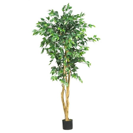 https://i5.walmartimages.com/asr/00a5f26a-1785-4a59-aa42-bf3809c1a29a_1.54519e4102947872a59232b2c73c5445.jpeg?odnHeight=450&odnWidth=450&odnBg=ffffff