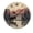 FFclock043, variant on ZXCXRQFa Silent Clocks Mountains Wildlife Animal Silent Wall Clock for Living Room Kitchen Decor Bathroom Farmhouse Non Ticking Decorative 10-Inch Round Clocks