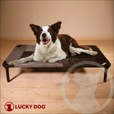 UPC: 0612634211808 | Lucky Dog 36   Elevated Pet Bed Comfort Cot – Gray