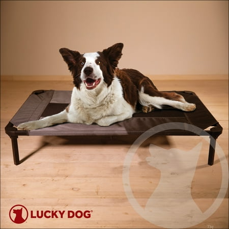Lucky Dog 36'' Elevated Pet Bed Comfort Cot - Gray