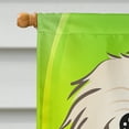 thumbnail image 3 of Caroline's Treasures BB1965CHF Pekingese St. Patrick's Day Flag Canvas House Size , Large, multicolor, 3 of 4