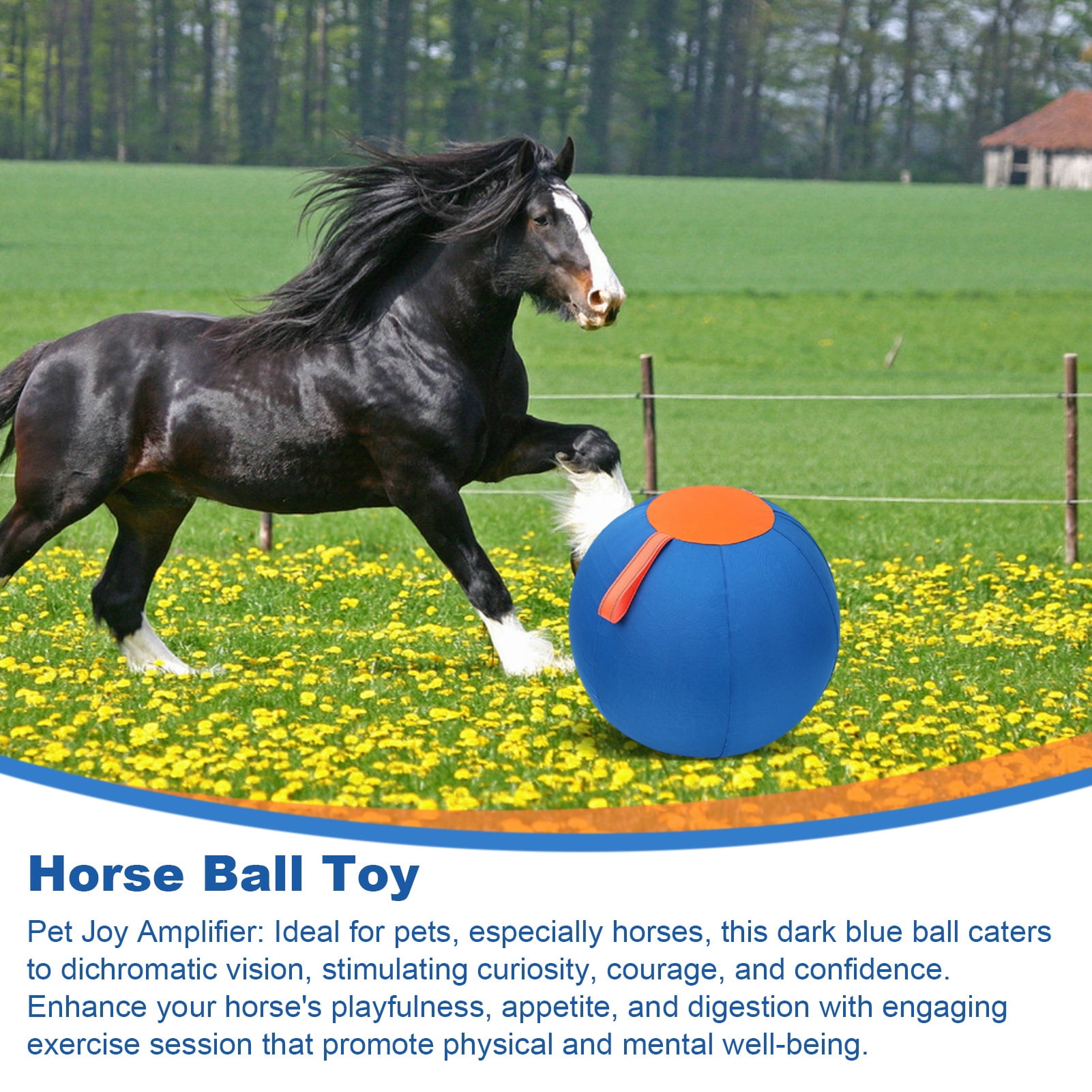 Eisoary Herding Dog Balls Horse Ball Toy Thickened Anti-Burst Ball Scratch-Resistant Training Ball Stimulates Senses Confidence Toy for Horses Cattle Dogs Blue