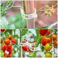 thumbnail image 2 of EEEkit 200pcs Plant Tomato Clips, Plastic Trellis Clips, Garden Plant Support for Vine, Grow Plants Upright and Make Healthier, 2 of 5