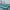 Turquoise, variant on Elegant Comfort Luxury King Size Bed Fitted Sheet, Deep Pocket Solid Design, Microfiber - Fully Elasticized