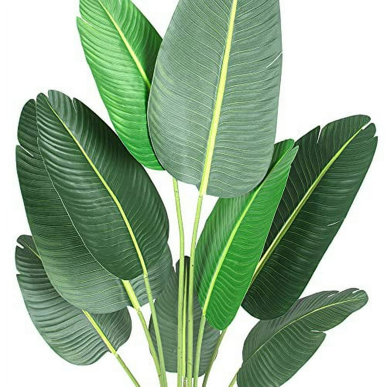 Huisuilinss Artificial Bird of Paradise, Strelitzia nicolai, Live Indoor  Plant in Dcor Planter Pot, Tropical Houseplant,Artificial Banana Tree For  Living Room, Office, and Home Decor, 4 FT 5 FT Tall - Walmart.com