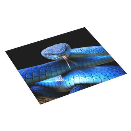 

Uemuo Blue Viper Snake 2 Pattern Dish Drying Mat 16*18 inch Absorbent Dish Drainer Kitchen Counter Large Size Dish Drying Pad for Countertops Sinks Draining Racks